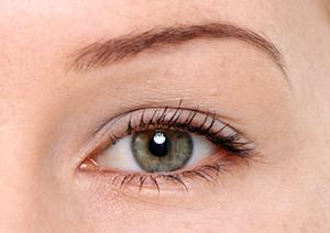 プロの揉みほぐし神田駅徒歩5分